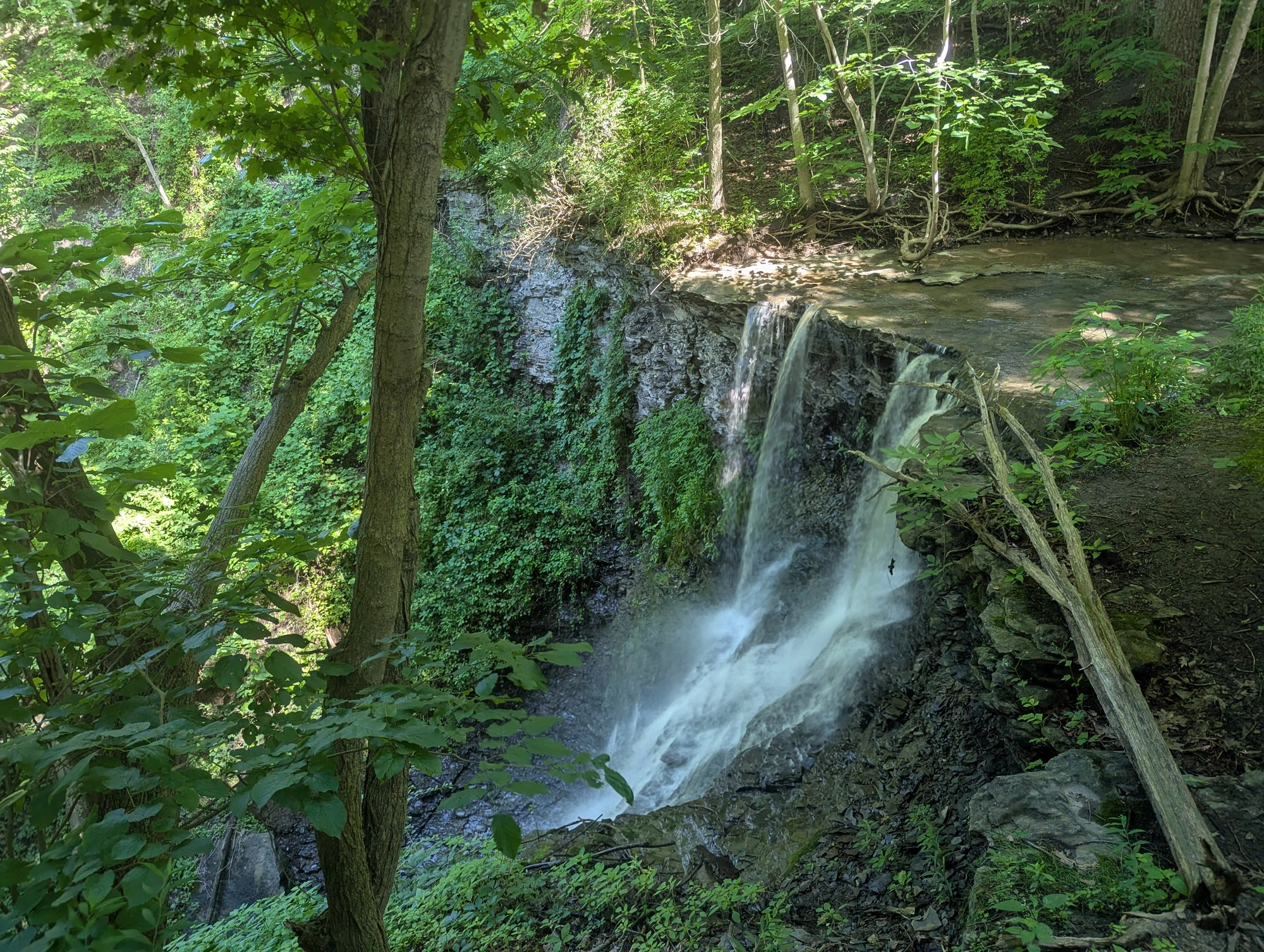 Exploring Waterfall Trails Near Jones Bridge Road, Mount Morris: A Hiking Adventure